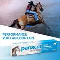 Merck Animal Health Panacur Paste 10% for Horses 100 mg