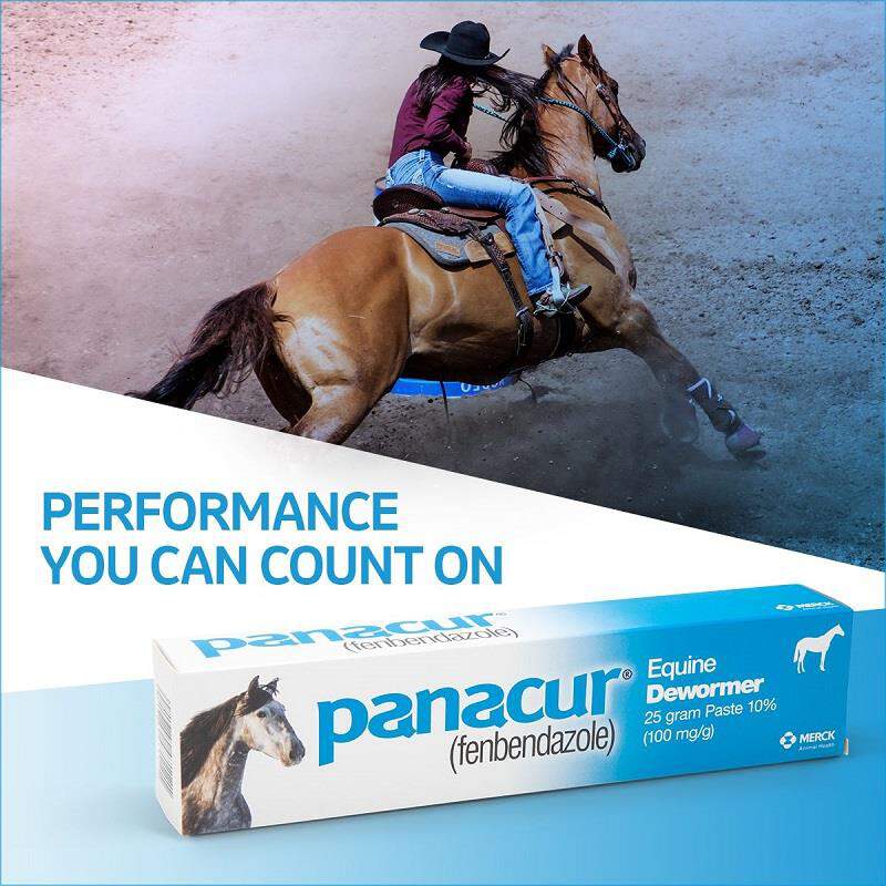 Merck Animal Health Panacur Paste 10% for Horses 100 mg