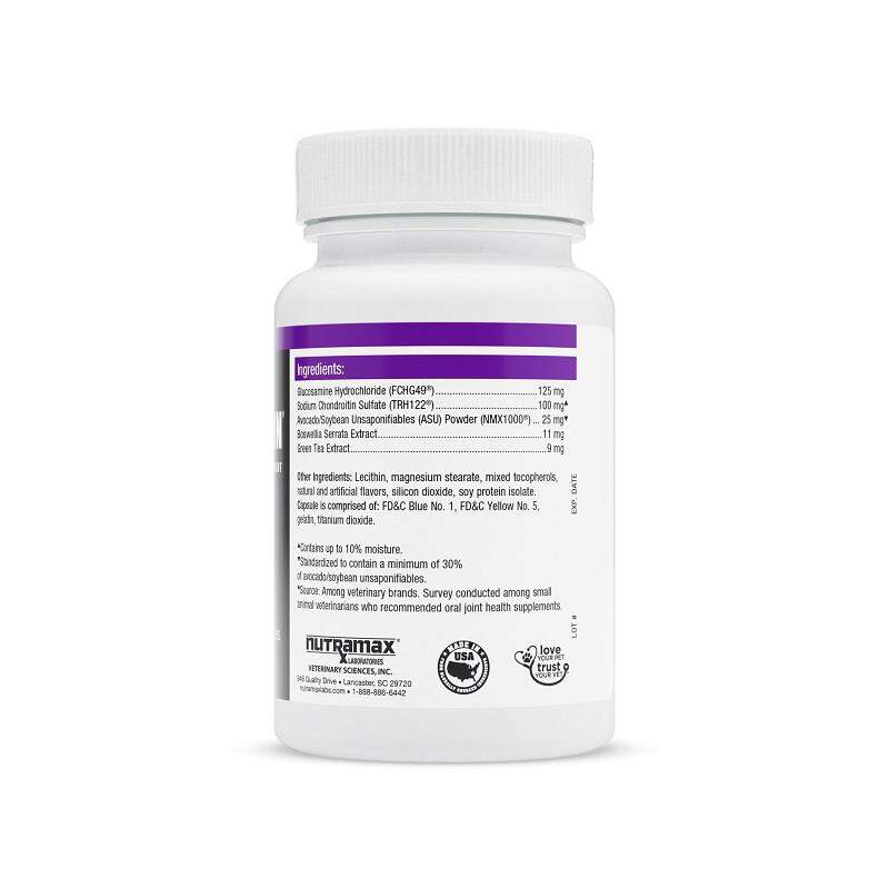 Nutramax Dasuquin for Cats for Joint Health, 84 Capsules