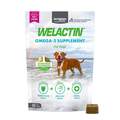 Welactin Omega-3 Skin & Coat Health plus Overall Wellness Supplement for Dogs, 60 Soft Chews