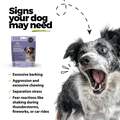Calming Hemp Oil + KSM-66 Ashwagandha Soft Chews for Dogs, 60 ct