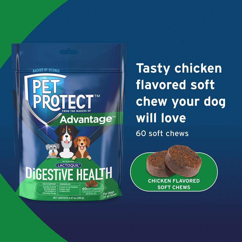 Pet Protect Digestive Health Lactoquil Soft Chews for Dogs, 60 Ct.