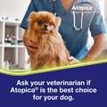 Atopica Capsules for Dogs