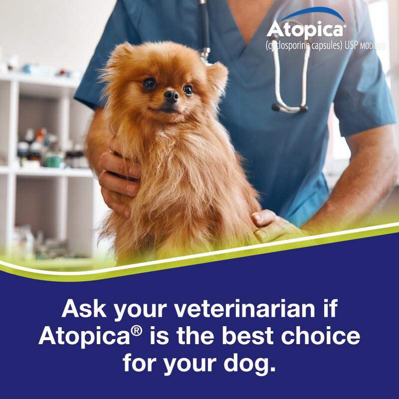 Atopica Capsules for Dogs