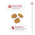 Royal Canin Breed Health Nutrition Yorkshire Terrier Adult Dry Dog Food