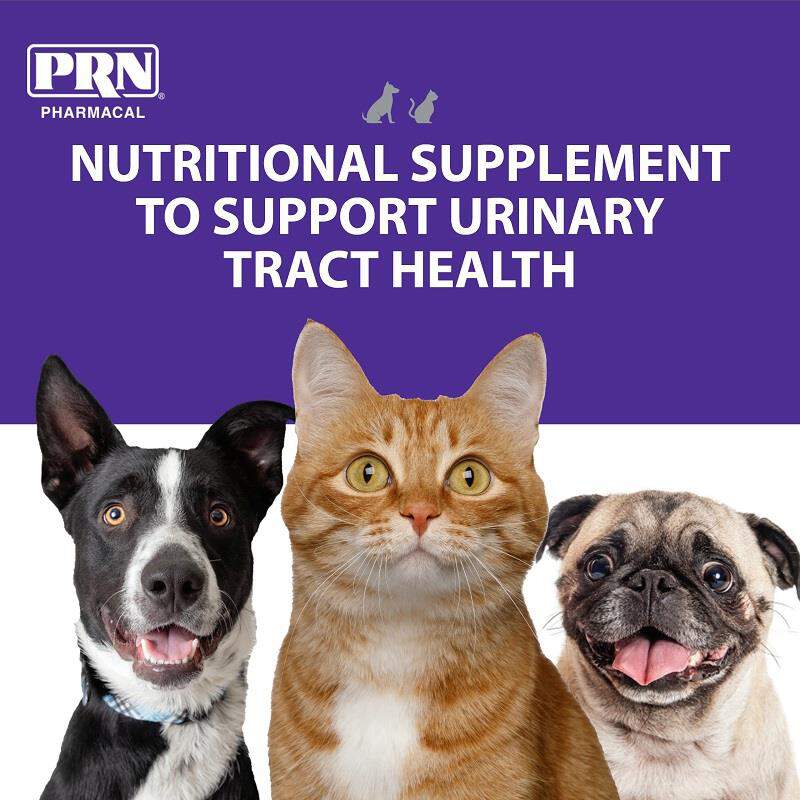 PRN Pharmacal CranMate for Dogs and Cats with UTIs and Incontinence, 60 Chewable Tablets