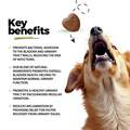 Urinary, Bladder & Kidney Soft Chews for Dogs, 60 ct