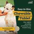Credelio Quattro Flavored Chewable Tablet for Dogs & Puppies