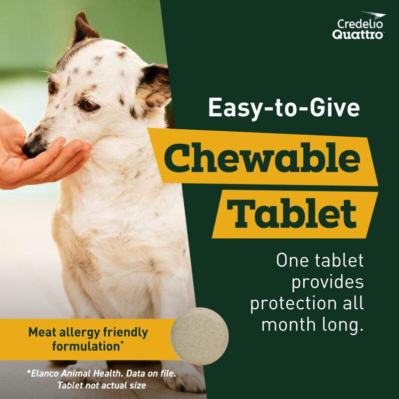 Credelio Quattro Flavored Chewable Tablet for Dogs & Puppies