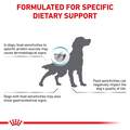 Royal Canin Veterinary Diet Adult Hydrolyzed Protein Potato & Soy Formula Dry Dog Food