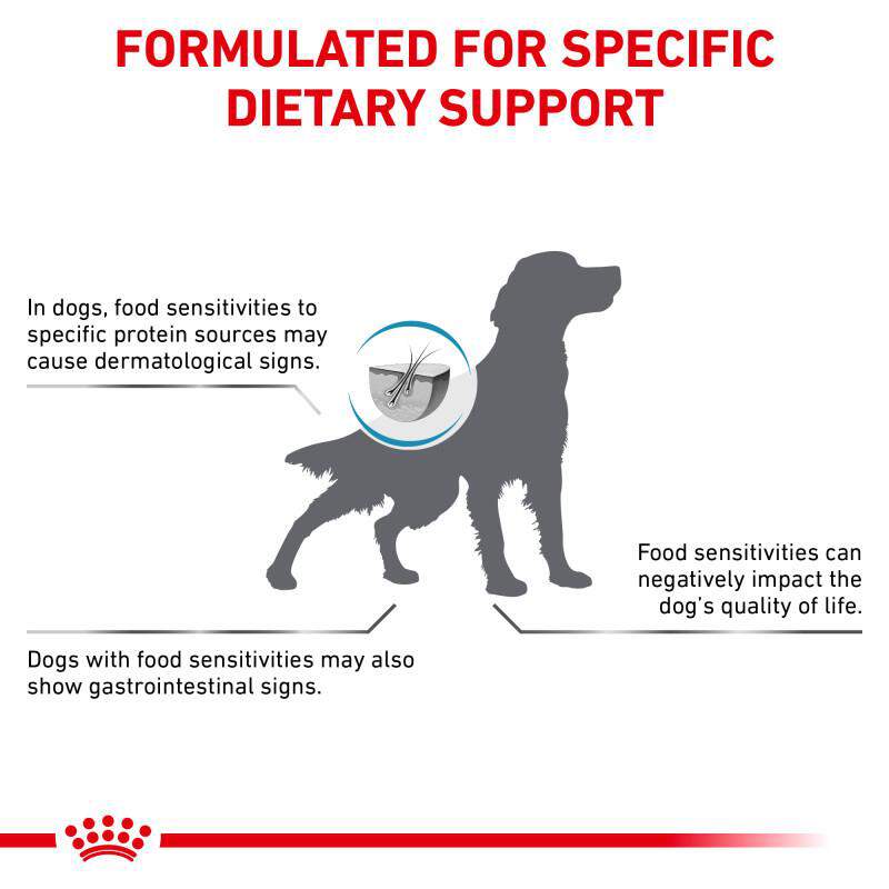 Royal Canin Veterinary Diet Adult Hydrolyzed Protein Potato & Soy Formula Dry Dog Food