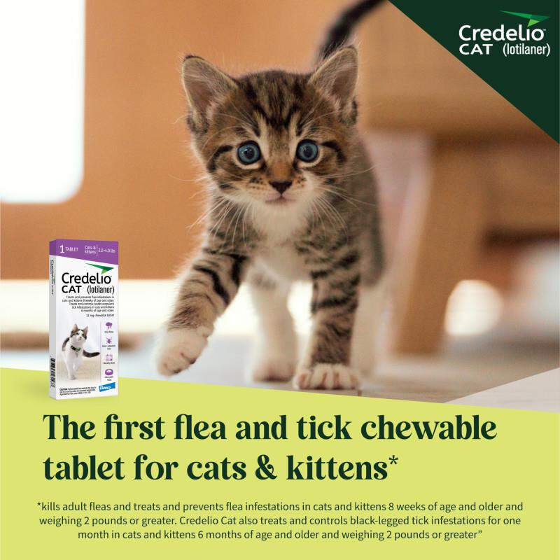 Credelio CAT Flea & Tick Chewable Tablets