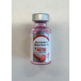 Equine Potomavac 1 ds (1 ml )