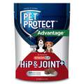 Pet Protect Hip & Joint + Synovi G4 Soft Chews for Dogs