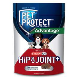 Pet Protect Hip & Joint + Synovi G4 Soft Chews for Dogs