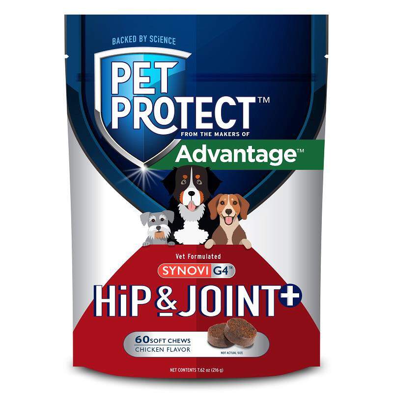Pet Protect Hip & Joint + Synovi G4 Soft Chews for Dogs