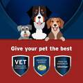 Pet Protect Hip & Joint + Synovi G4 Soft Chews for Dogs