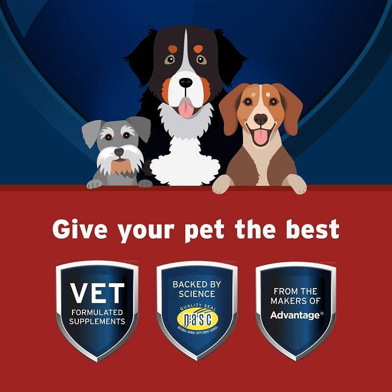 Pet Protect Hip & Joint + Synovi G4 Soft Chews for Dogs