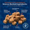 NaturVet Adult Dog Daily Care All-In-One Supplement with 10-in-1 Support, Hickory Smoked Bacon Flavor, 60 Soft Chews