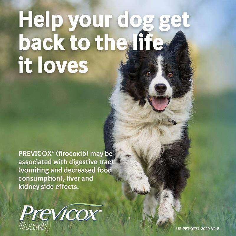 Previcox Chewable Tablets for Dogs