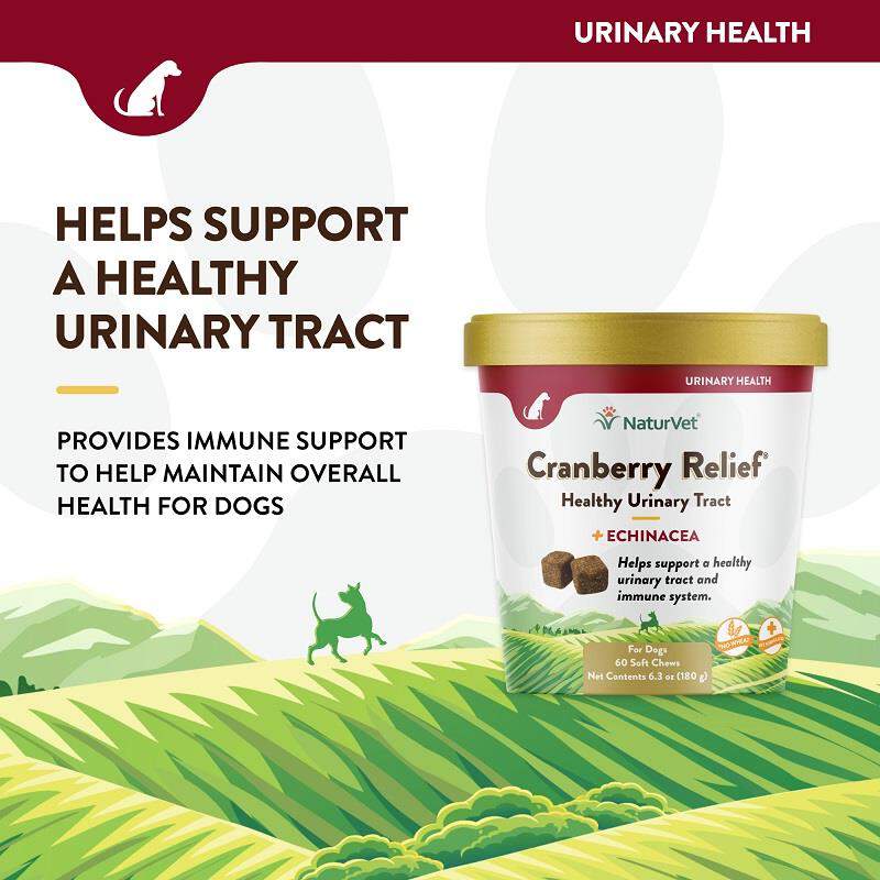 NaturVet Cranberry Relief Healthy Urinary Tract Plus Echinacea Soft Chews for Dogs