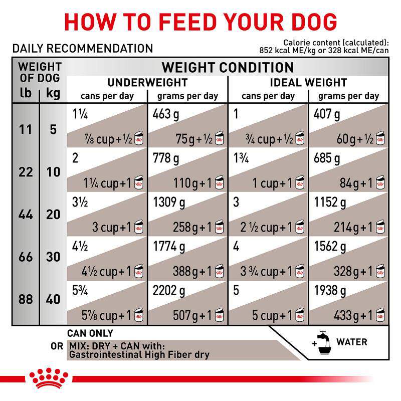 Royal Canin Veterinary Diet Adult Gastrointestinal High Fiber Loaf in Sauce Canned Dog Food, 24 x 13.5 oz cans