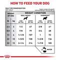 Royal Canin Veterinary Diet Adult Calm Small Dog Dry Food