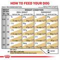 Royal Canin Veterinary Diet Adult Urinary SO Moderate Calorie Dry Dog Food