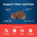 Pet Protect Hip & Joint Synovi G3 Soft Chews for Dogs