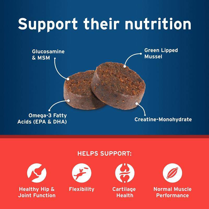 Pet Protect Hip & Joint Synovi G3 Soft Chews for Dogs