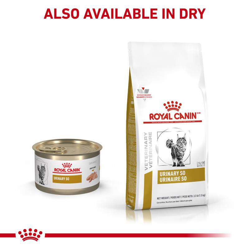 Royal Canin Veterinary Diet Adult Urinary SO Loaf in Sauce Canned Cat Food, 5.1 oz cans