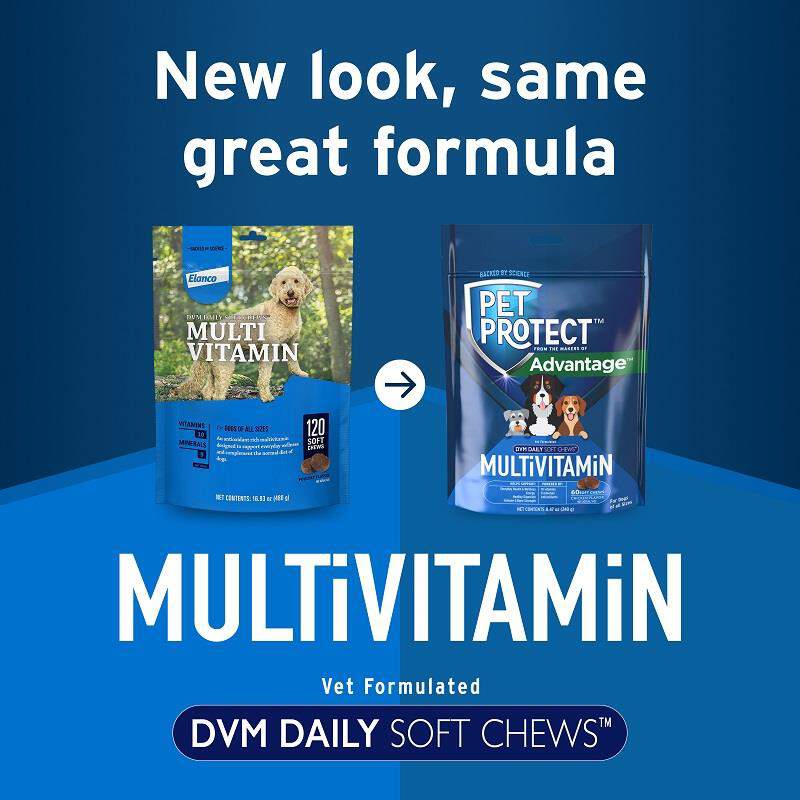 Pet Protect MultiVitamin DVM Soft Chews for Dogs
