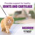 Dasuquin for Cats, 84 Soft Chews
