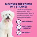 Proviable-DC for Dogs and Cats