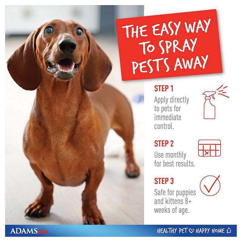 Adams Plus Flea and Tick Spray