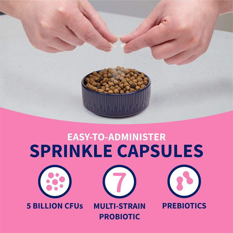 Proviable KP Paste + 10 Caps for Dogs and Cats