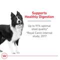 Royal Canin Canine Care Nutrition Adult Medium Digestive Care Dry Dog Food