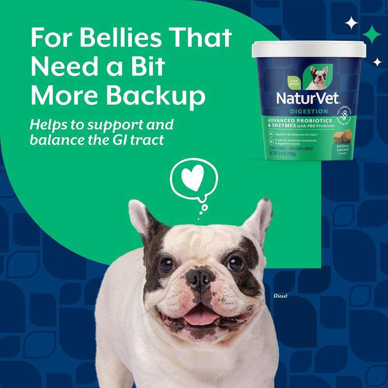 NaturVet Advanced Probiotics & Enzymes Plus Vet Strength PB6 Probiotic Soft Chews for Dogs