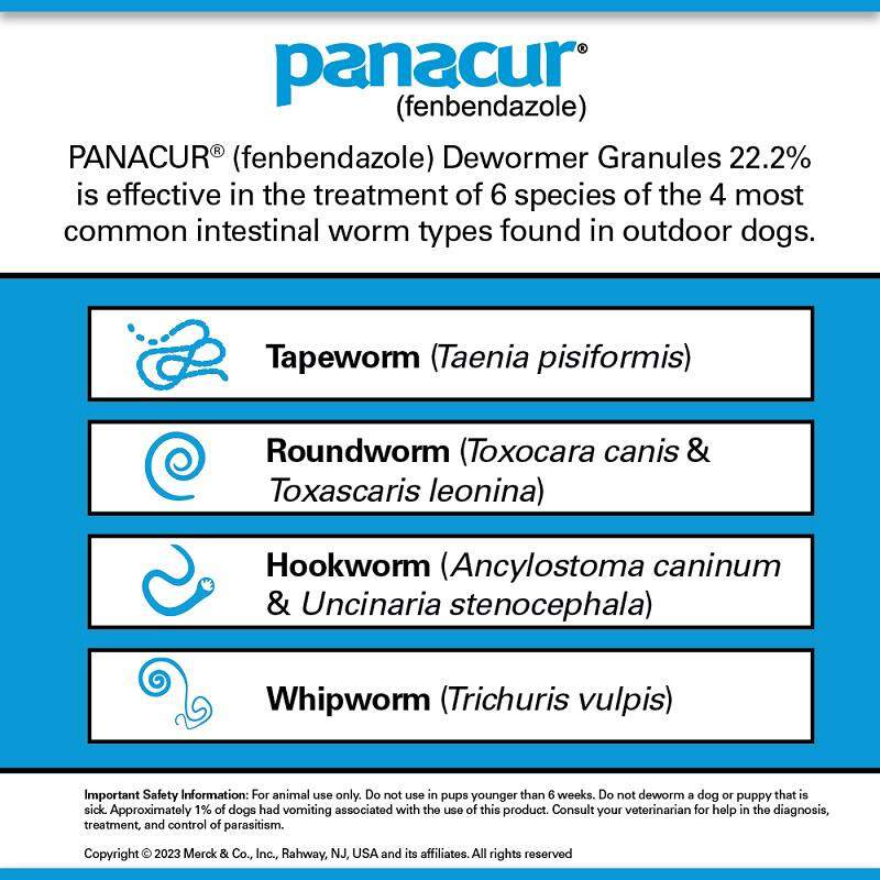 Panacur C Canine Dewormer