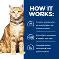 Hill's Prescription Diet c/d Multicare Urinary Care with Chicken Dry Cat Food, 17.6 lbs