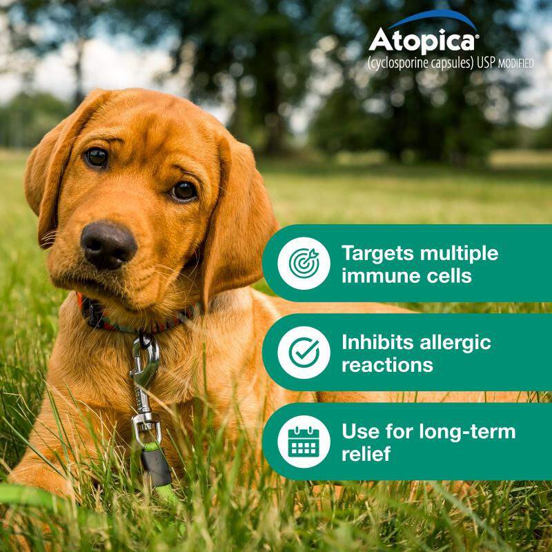 Atopica Capsules for Dogs