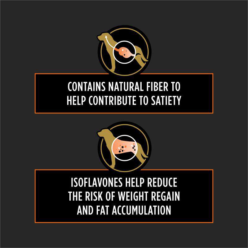 Purina Pro Plan Veterinary Diets OM Overweight Management Formula Adult Dog Food