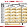 Royal Canin Veterinary Diet Adult Urinary SO Moderate Calorie Thin Slices in Gravy Canned Dog Food, 12.5 oz cans