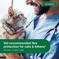 Advantage II for Cats