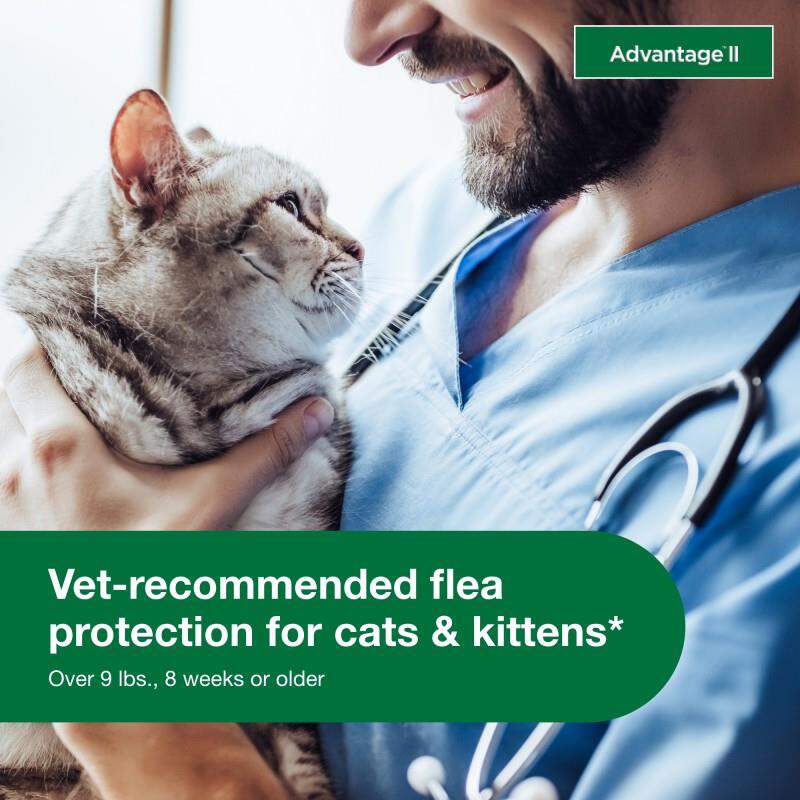 Advantage II for Cats