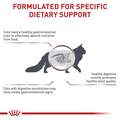 Royal Canin Veterinary Diet Adult Gastrointestinal Fiber Response Thin Slices in Gravy Canned Cat Food, 24 x 3 oz cans