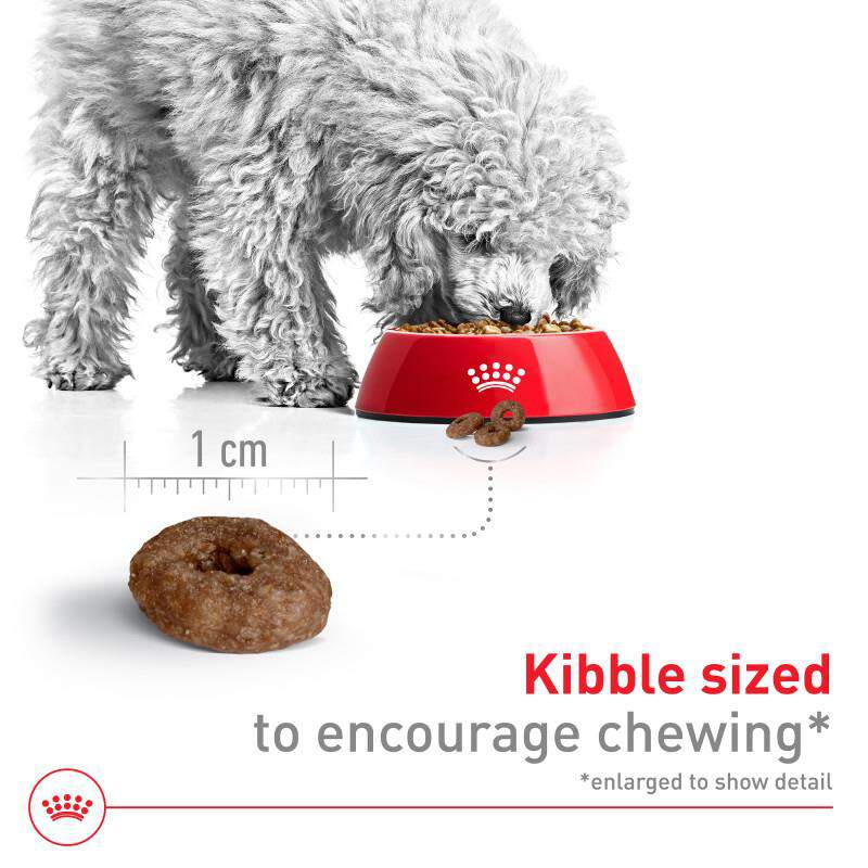 Royal Canin Size Health Nutrition Small Aging 12+ Dry Dog Food