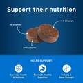 Pet Protect MultiVitamin DVM Soft Chews for Dogs