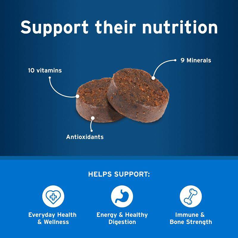 Pet Protect MultiVitamin DVM Soft Chews for Dogs