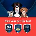 Pet Protect Hip & Joint Synovi G3 Soft Chews for Dogs
